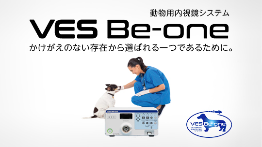 動物用内視鏡システム VES Be-one ＜ベス ビーワン＞
